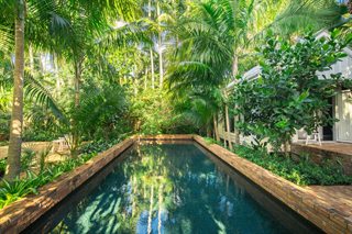 Open Florida pool with heavy tree cover and significant leaf debris